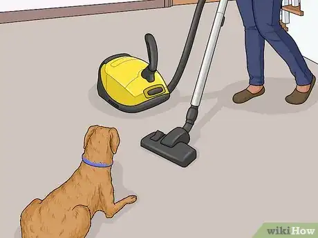 Image titled Keep a Dog from Chasing the Vacuum Cleaner Step 9