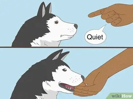 Image titled Teach Your Dog to Speak Step 11