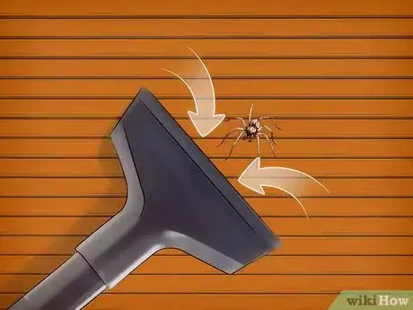 Image titled Kill Spiders when You Have Arachnophobia Step 1