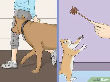 Image titled Be a Good Pet Owner Step 15