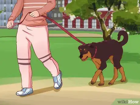 Image titled Stop a Dog from Pulling on Its Leash Step 7