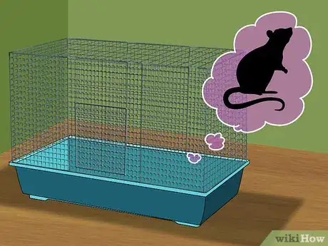 Image titled Get a Pet Rat Step 11