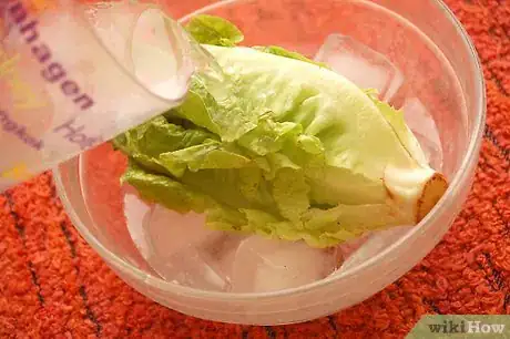 Image titled Make Lettuce Extra Crispy Step 3