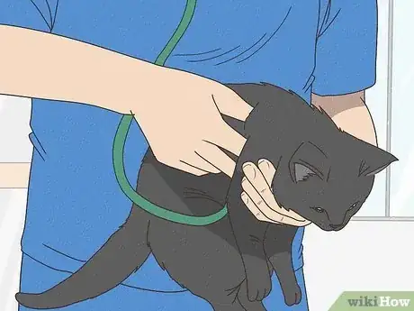 Image titled Help a Cat with Epileptic Seizures Step 12