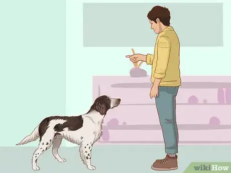 Image titled Stop Your Dog from Chewing Things it Shouldn't Step 12