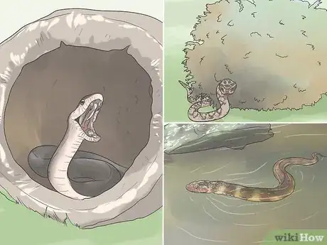 Image titled Avoid Snakes Step 2