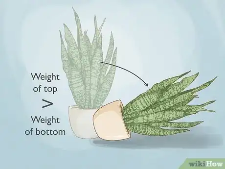 Image titled When to Repot Snake Plant Step 4