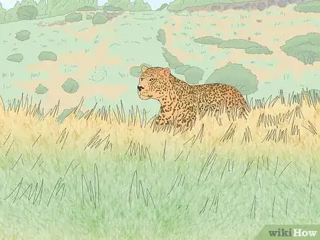 Image titled Survive a Leopard Attack Step 1