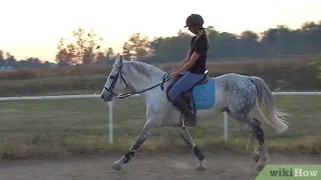 Image titled Sit the Canter Properly Step 8