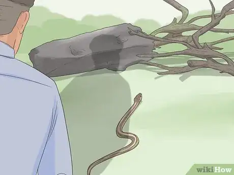 Image titled Avoid Snakes Step 1