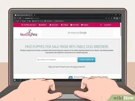 Image titled Sell Puppies Step 7