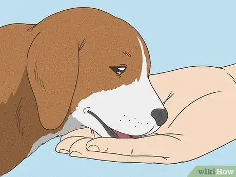 Image titled What to Feed a Puppy with Parvo Step 8