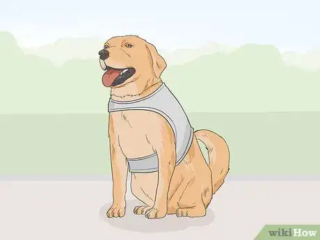 Image titled Identify a Service Dog Step 9