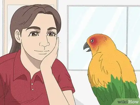 Image titled Teach a Conure to Talk Step 6