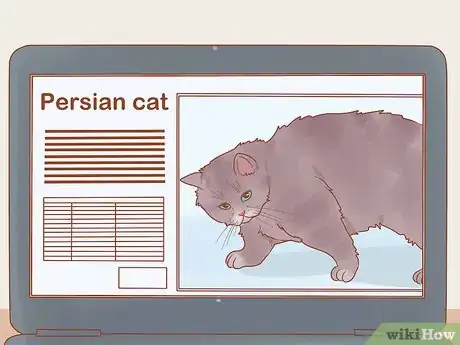 Image titled Choose a Cat Step 11