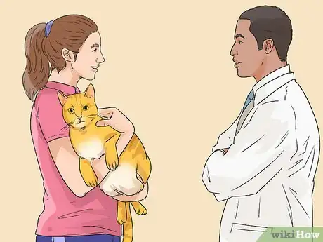 Image titled Treat a Cat with Physical Therapy Step 1