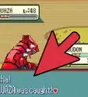 Find Rayquaza in Pokémon Ruby