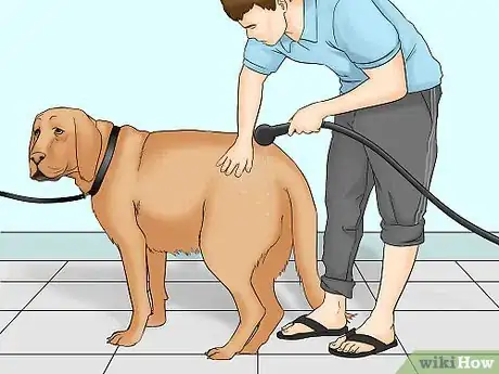 Image titled Remove Chewing Gum from a Dog's Hair Step 4