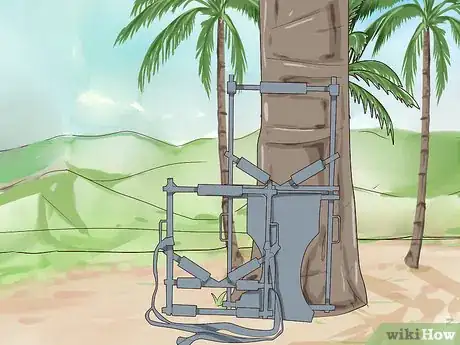 Image titled Climb a Coconut Tree Step 13