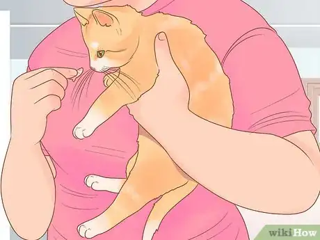 Image titled Get Rid of Tapeworms in Your Pets Step 8