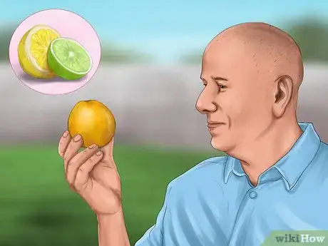 Image titled Store Citrus Fruit Step 1