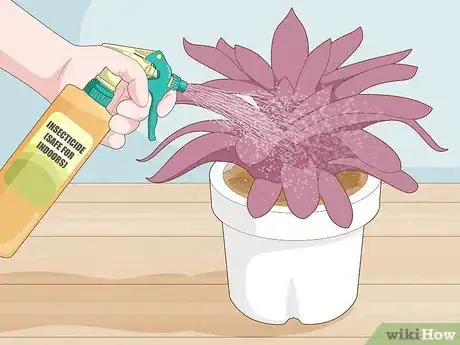 Image titled Get Rid of Gnats in Houseplants Step 6