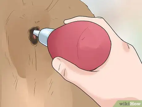 Image titled Give a Dog an Enema Step 17