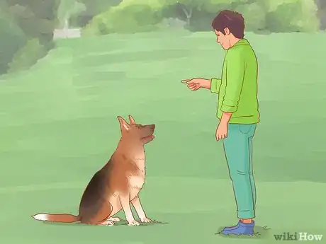 Image titled Introduce a Dog to a Dog Park Step 2