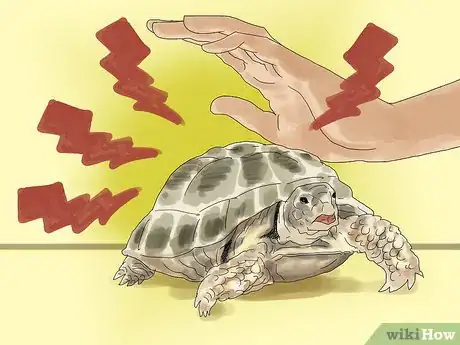 Image titled Care for a Tortoise Step 6