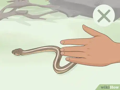 Image titled Avoid Snakes Step 6