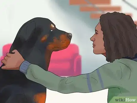 Image titled Train a Rottweiler Step 11