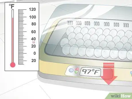 Image titled Use an Incubator to Hatch Eggs Step 13