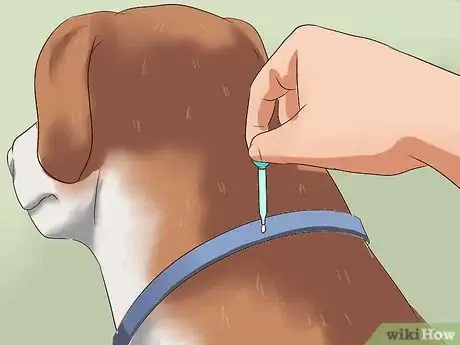 Image titled Prevent Ticks on Dogs Step 12