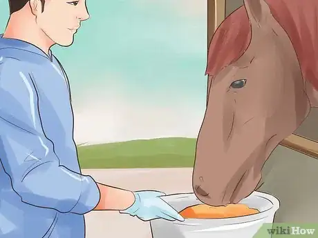 Image titled Treat Stomach Ulcers in Horses Step 1