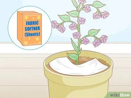 Image titled Get Rid of Gnats in Houseplants Step 1