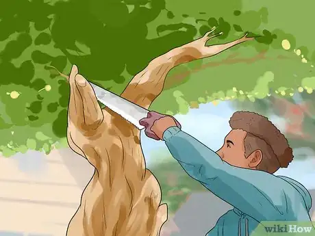 Image titled Stop a Dog from Killing Squirrels Step 9