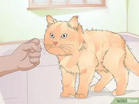 Image titled Teach Your Cat to Kiss Step 11