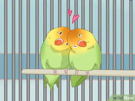 Image titled Breed Lovebirds Step 8