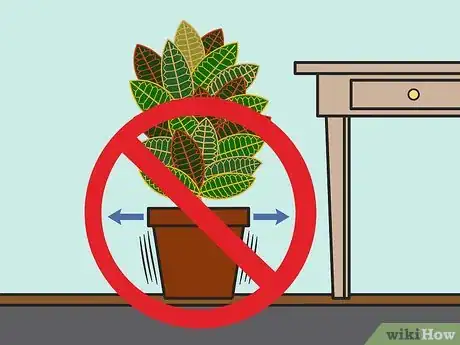 Image titled Care for a Croton Plant Step 04