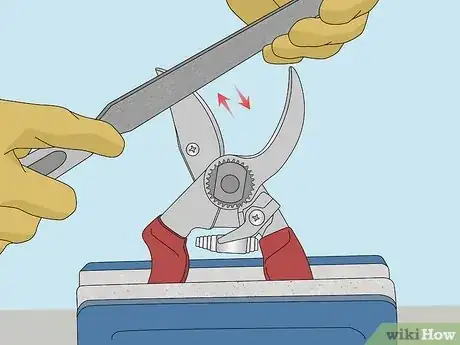 Image titled Sharpen Pruning Shears Step 11