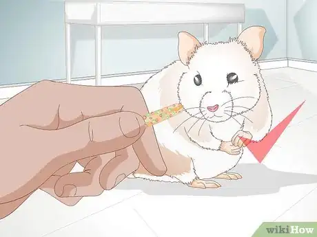 Image titled Trim Hamster Nails Step 17