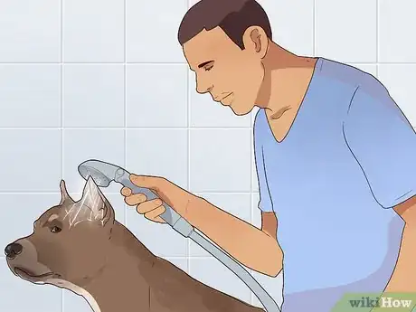 Image titled Bathe Your Pitbull Step 12