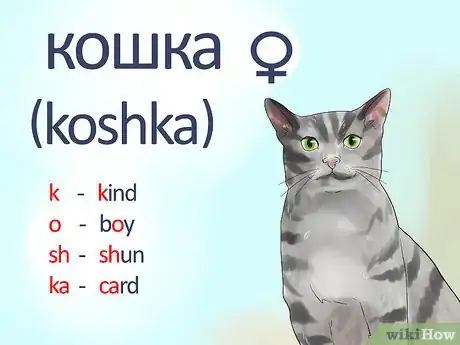 Image titled Say Cat in Russian Step 1