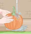 Plant Pumpkin Seeds