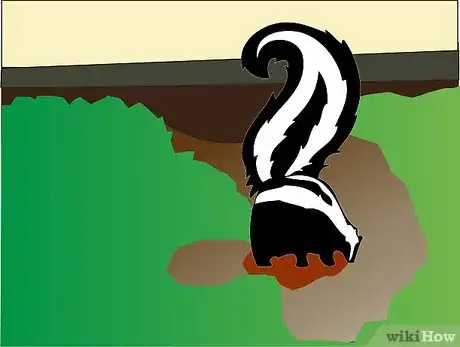 Image titled Get a Skunk to Leave Step 7