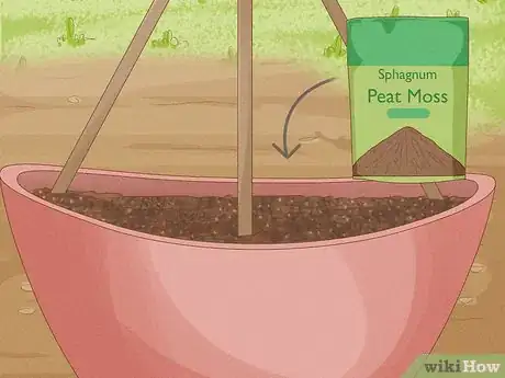 Image titled Grow Cucumbers in Pots Step 14