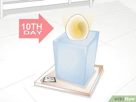 Image titled Use an Incubator to Hatch Eggs Step 18