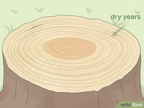 Image titled Count Tree Rings Step 5