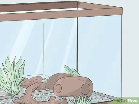 Image titled Enjoy Having Pet Fish Step 5