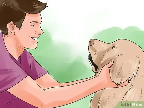 Image titled Be a Good Dog Owner Step 22